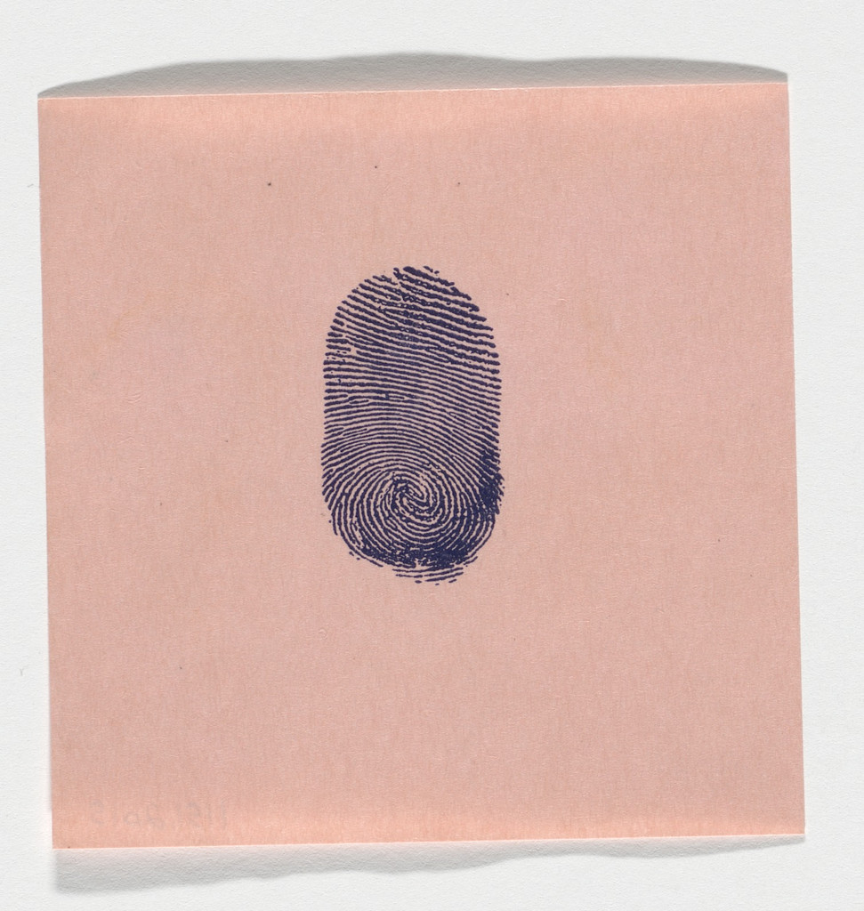 untitled (Bayer's fingerprint)