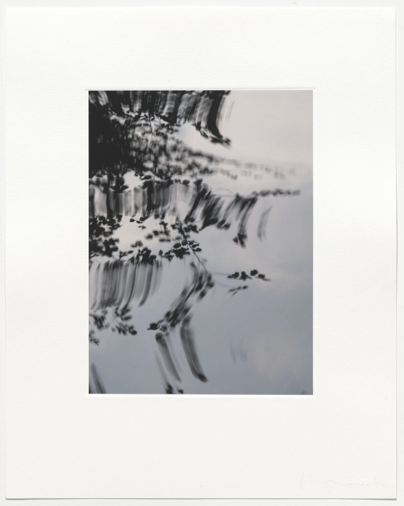 Untitled from Pisueña
