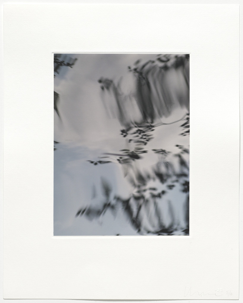 Untitled from Pisueña