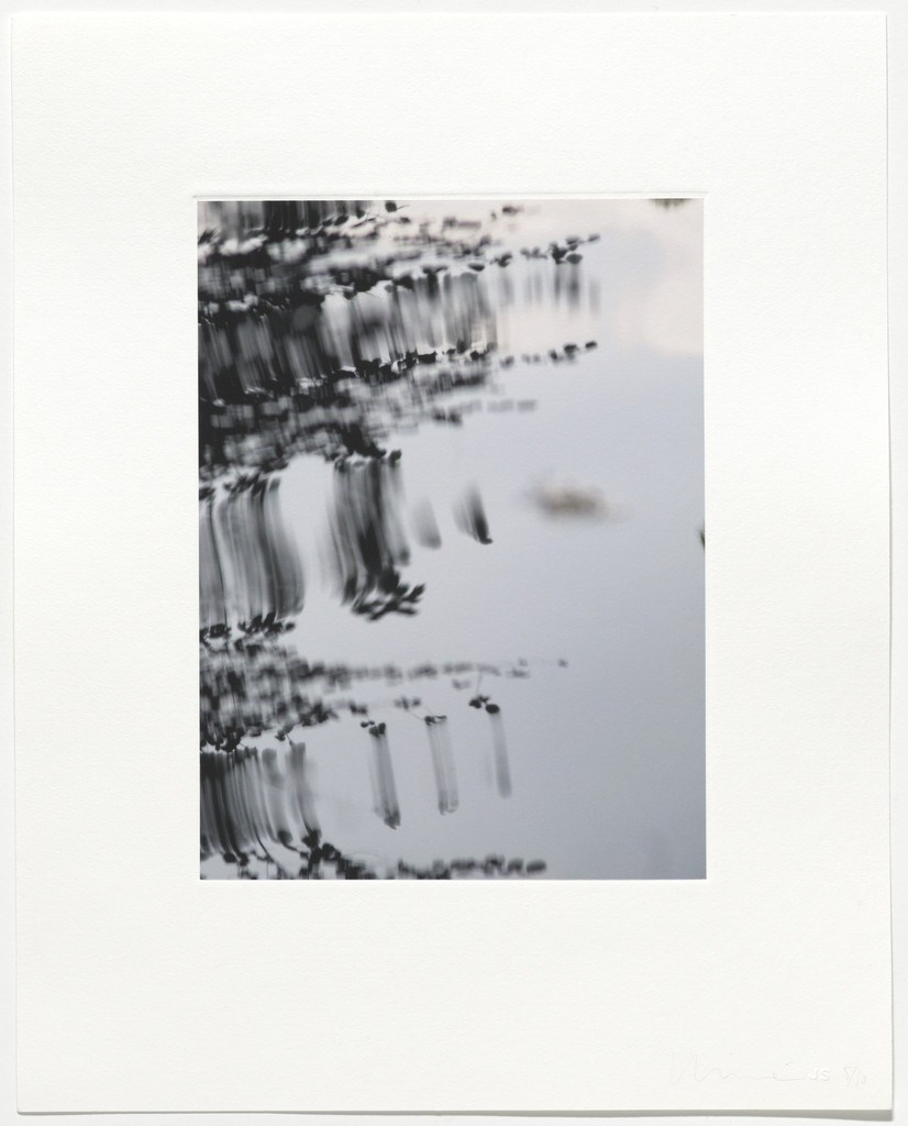 Untitled from Pisueña