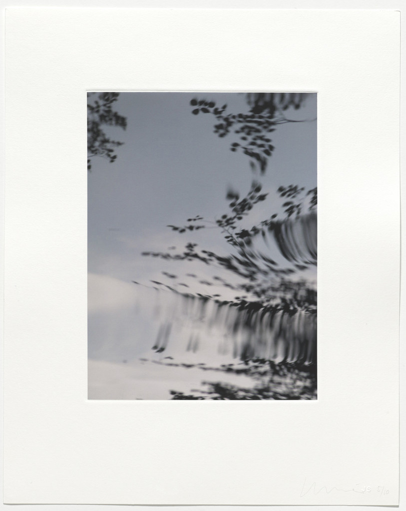 Untitled from Pisueña