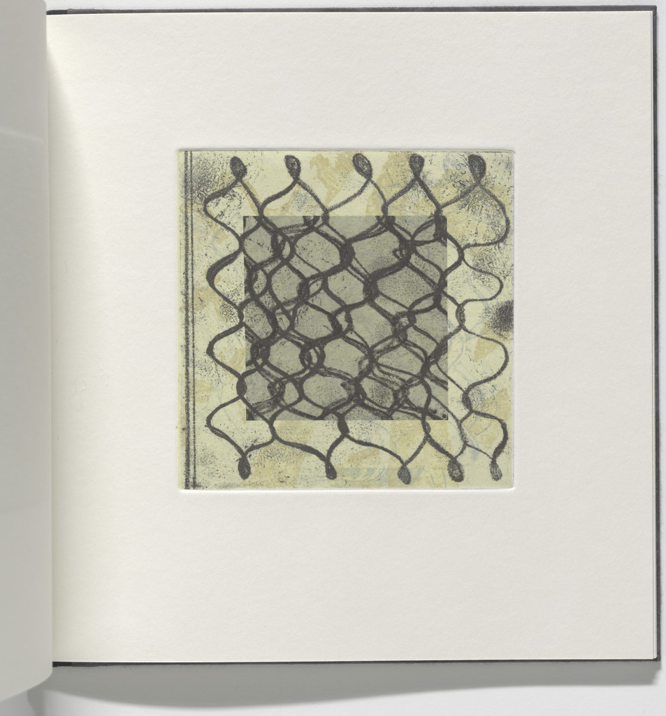 Untitled from Keffieyeh