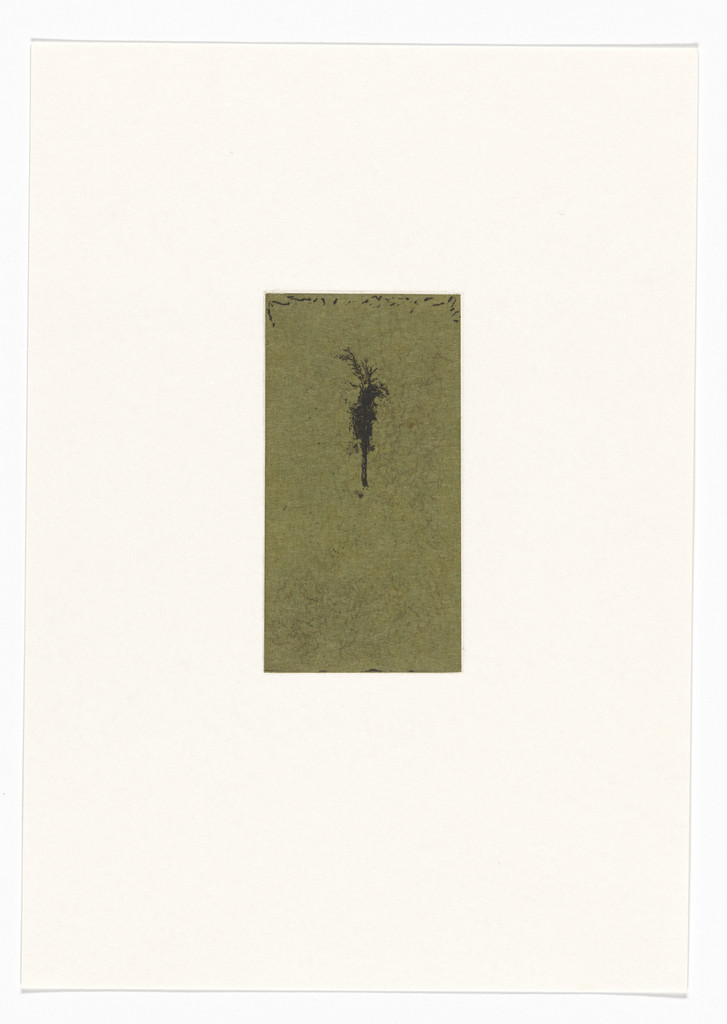Untitled from Natural Selections