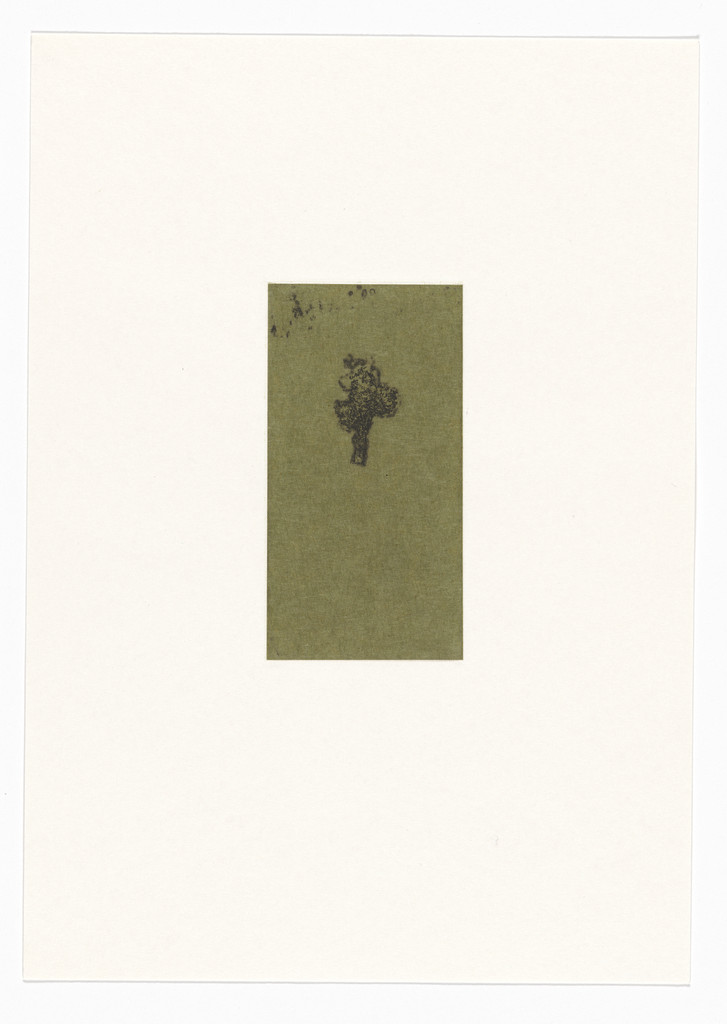 Untitled from Natural Selections