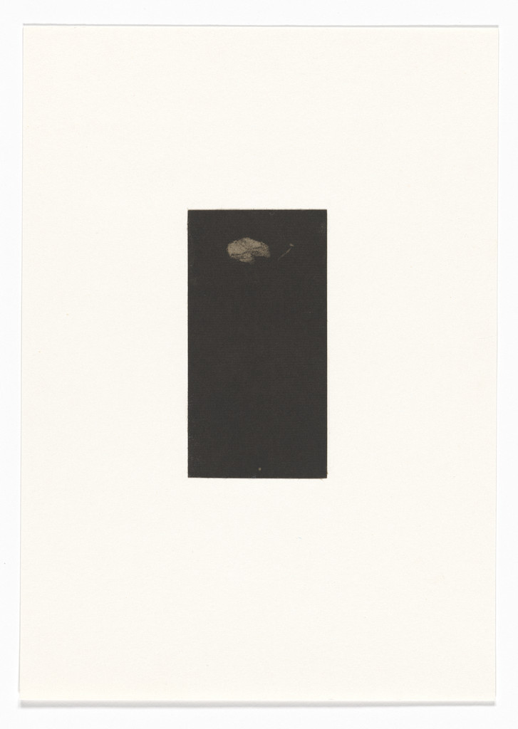 Untitled from Natural Selections