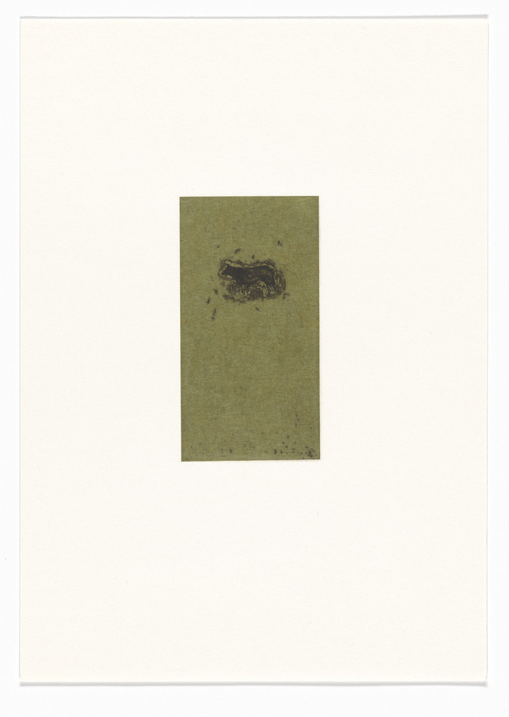 Untitled from Natural Selections