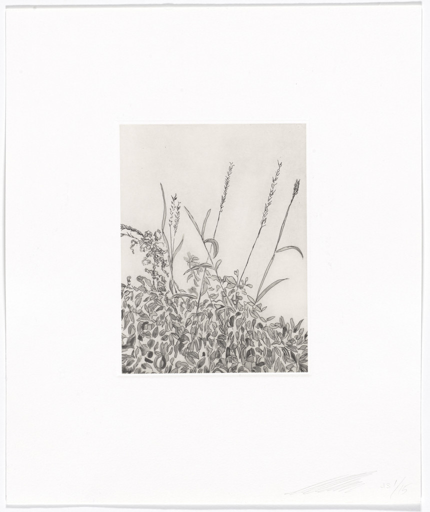 Untitled from Quiet Noise