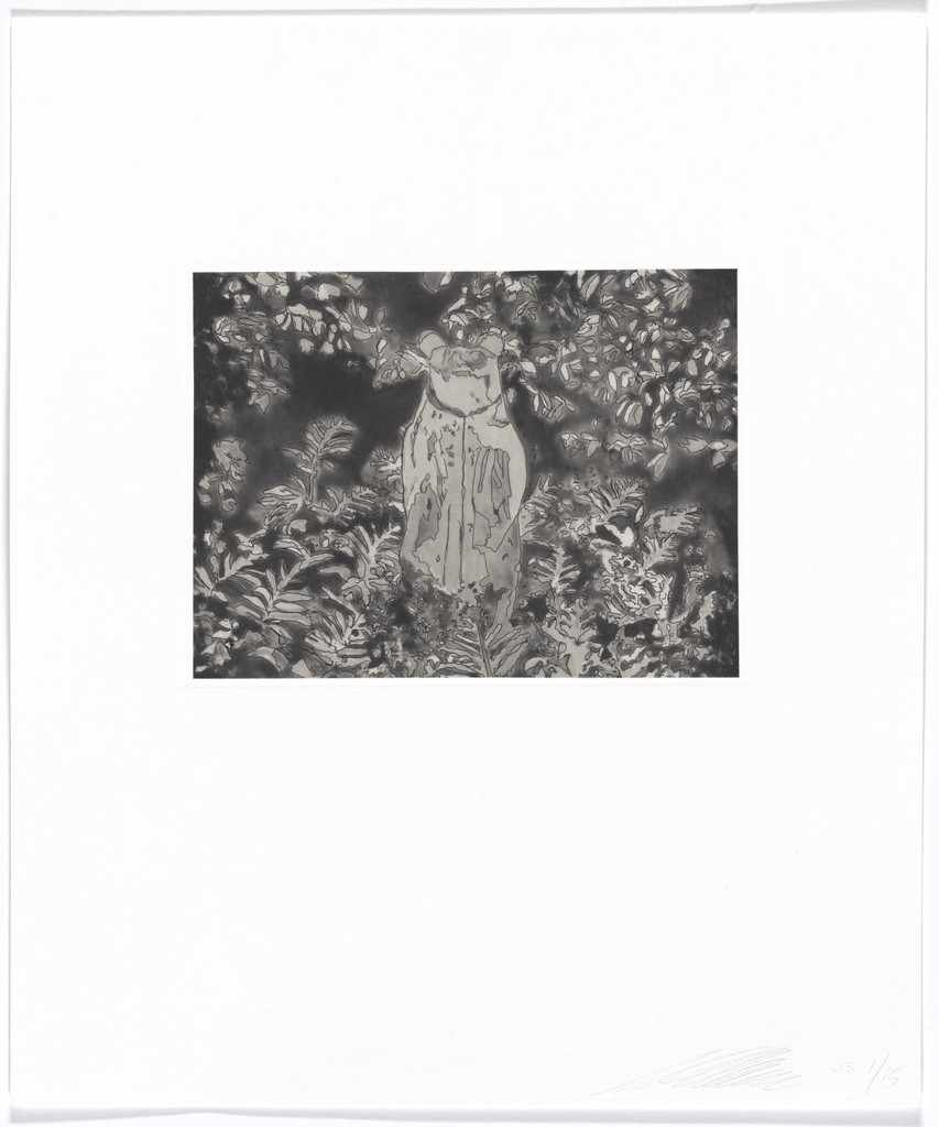 Untitled from Quiet Noise