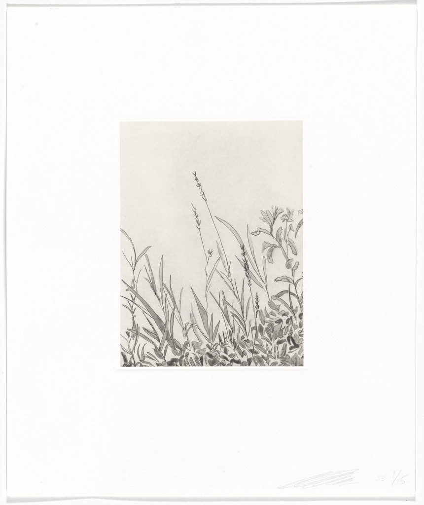 Untitled from Quiet Noise