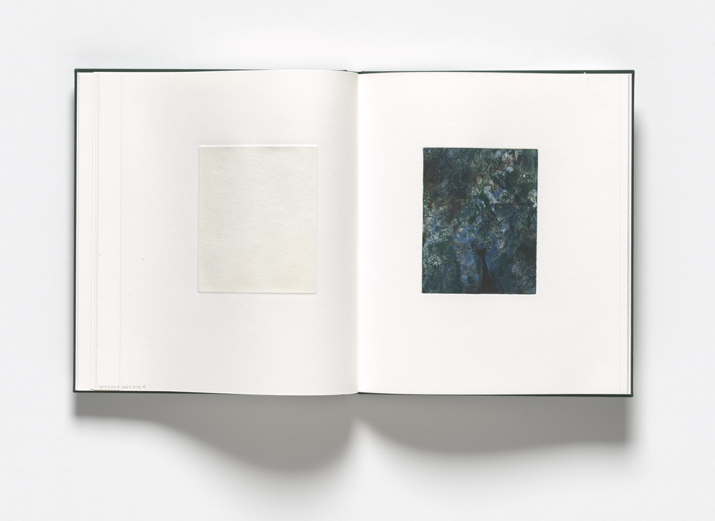 Untitled from Storm Trees