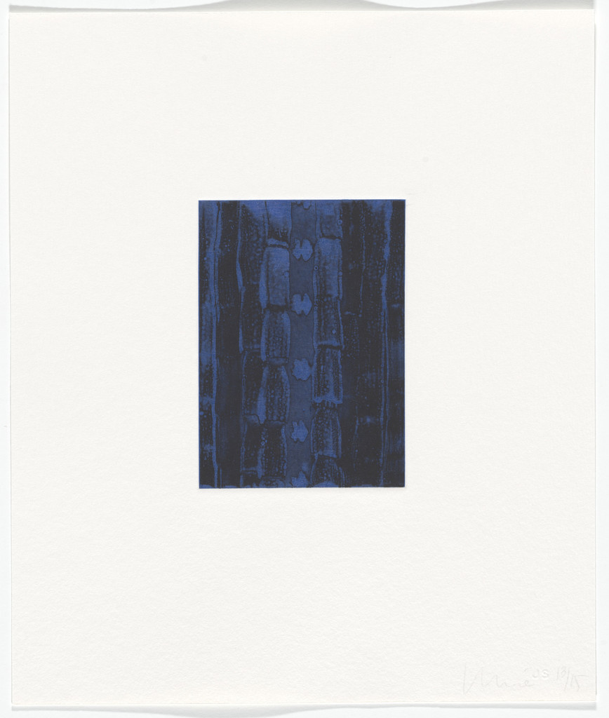 Untitled from blumania