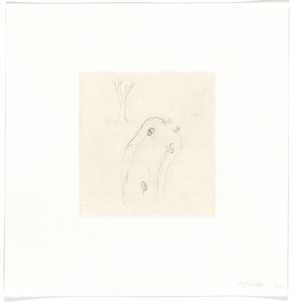 Untitled from Entering Paradise