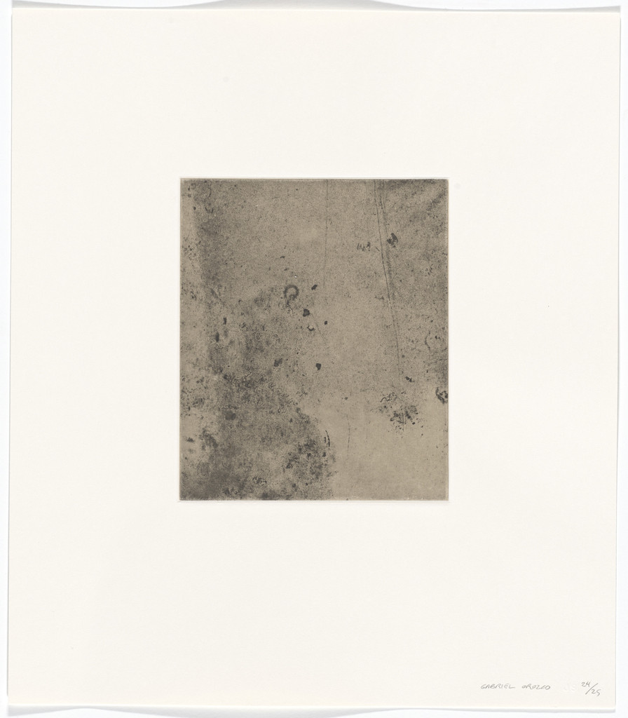 Untitled from Polvo Impreso (Lint Book)
