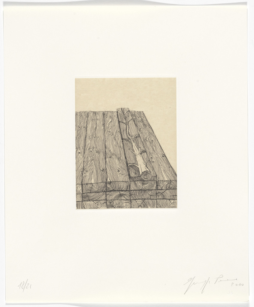Untitled from Passi Sulle Cime Dei Gelsi (Footsteps on Mulberry Tree Tops)
