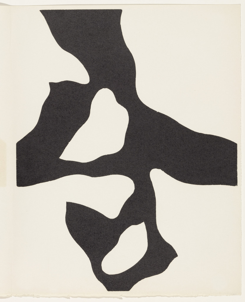 Flower Figure, Fall (plate, page 31) from Dreams and Projects