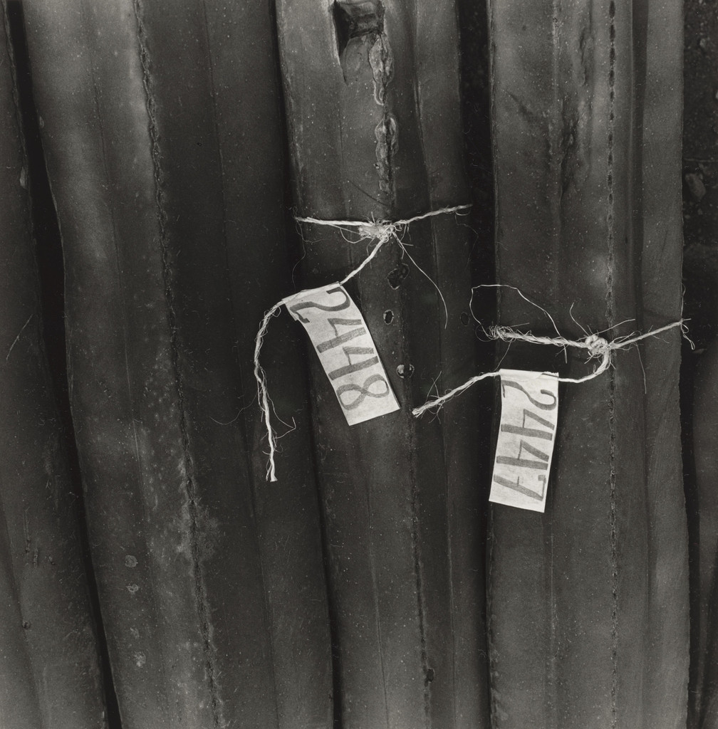 Graciela Iturbide