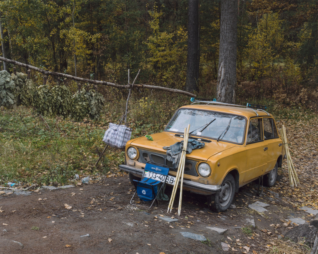 Shnuriv Lys, Kyivska Province, Ukraine