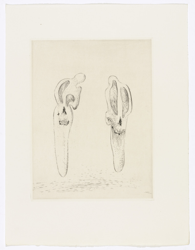 Plate (facing page 82) from Les Chants de Maldoror (The Songs of Maldoror)