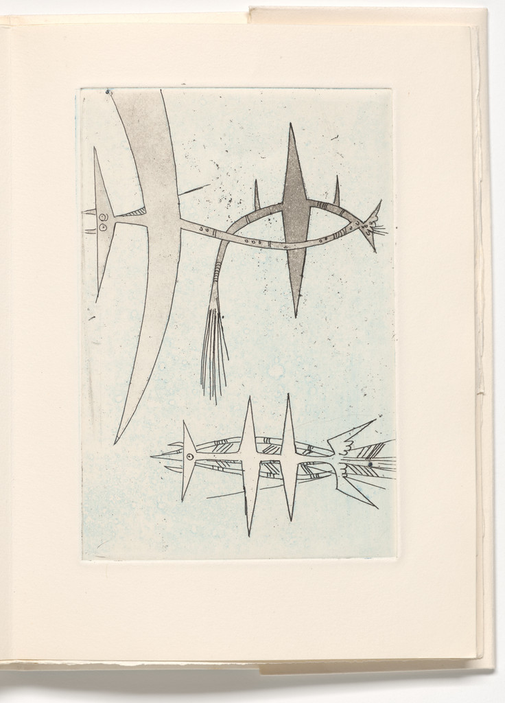 Plate (page 41) from Le Rempart de brindilles (The Rampart of Twigs)