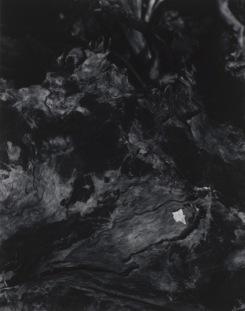 Untitled (CX10), Massachusetts