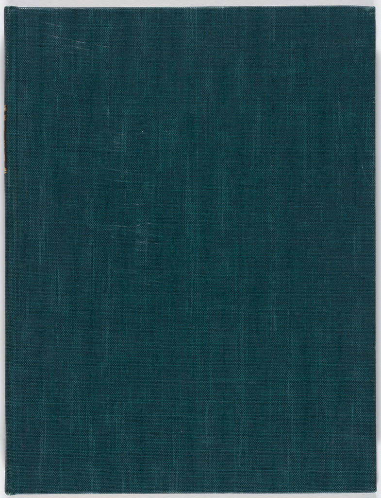 Monographie Francis Picabia (Francis Picabia Monograph)