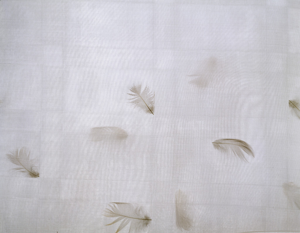 Feather Flurries Fabric (no. 9-166A)