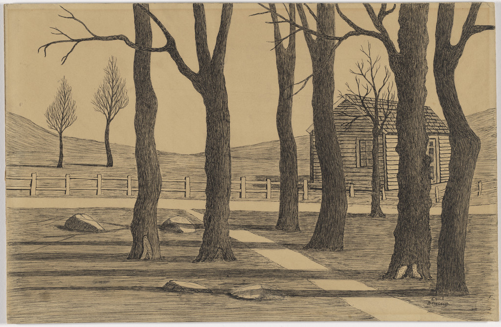 Trees and Shack