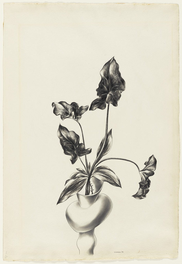 Plant