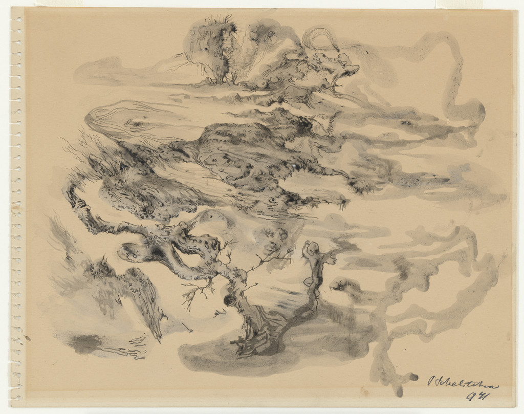 Metamorphic Landscape with Nighthawk