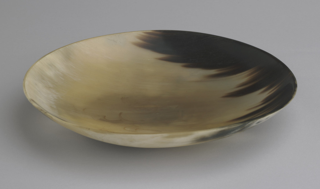 Dish