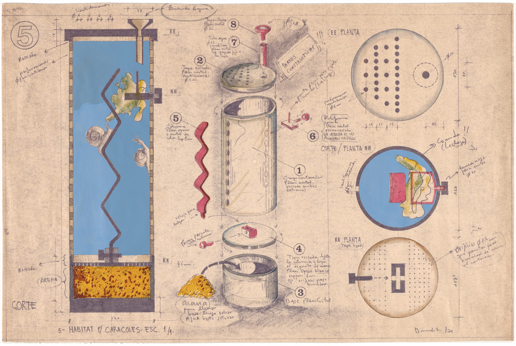 Study for Habitat for Snails