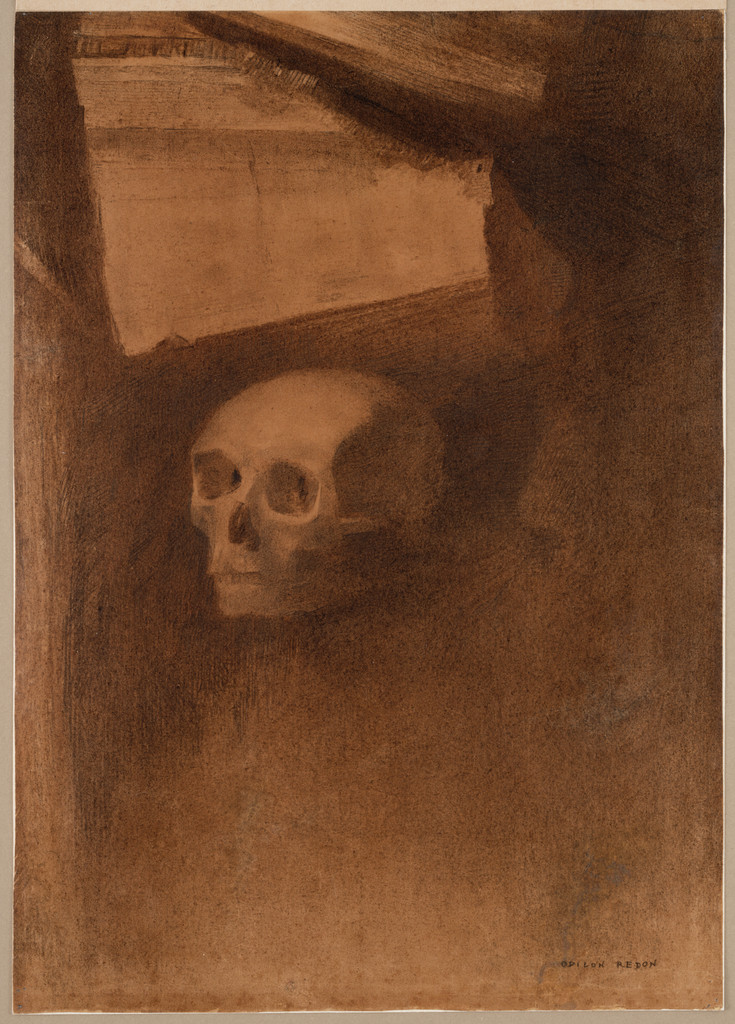 Through the Crack a Death's-Head Was Projected