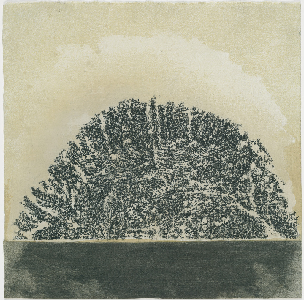 Untitled (No. 1)