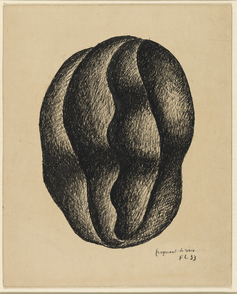 Fragment of a Nut