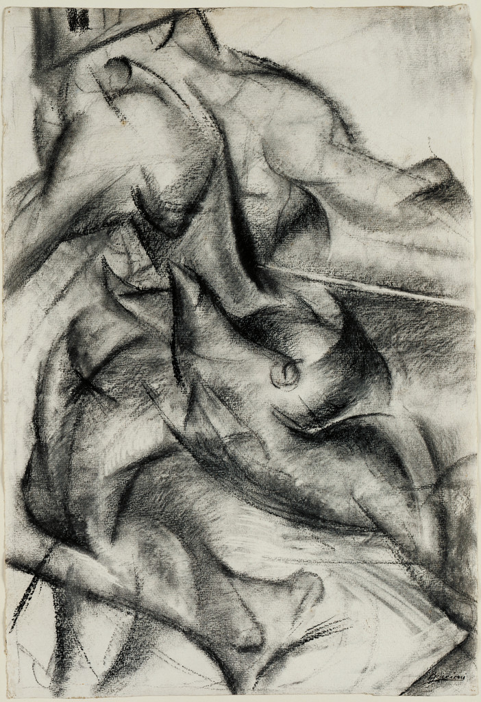 Muscular Dynamism