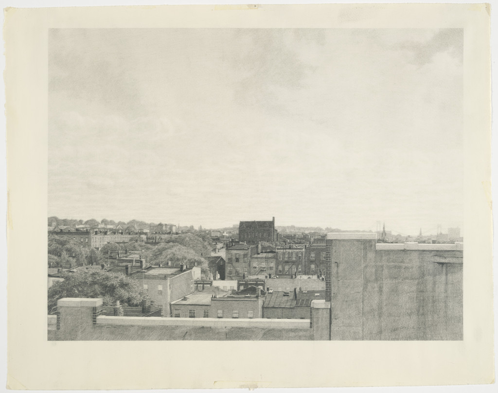View in Brooklyn