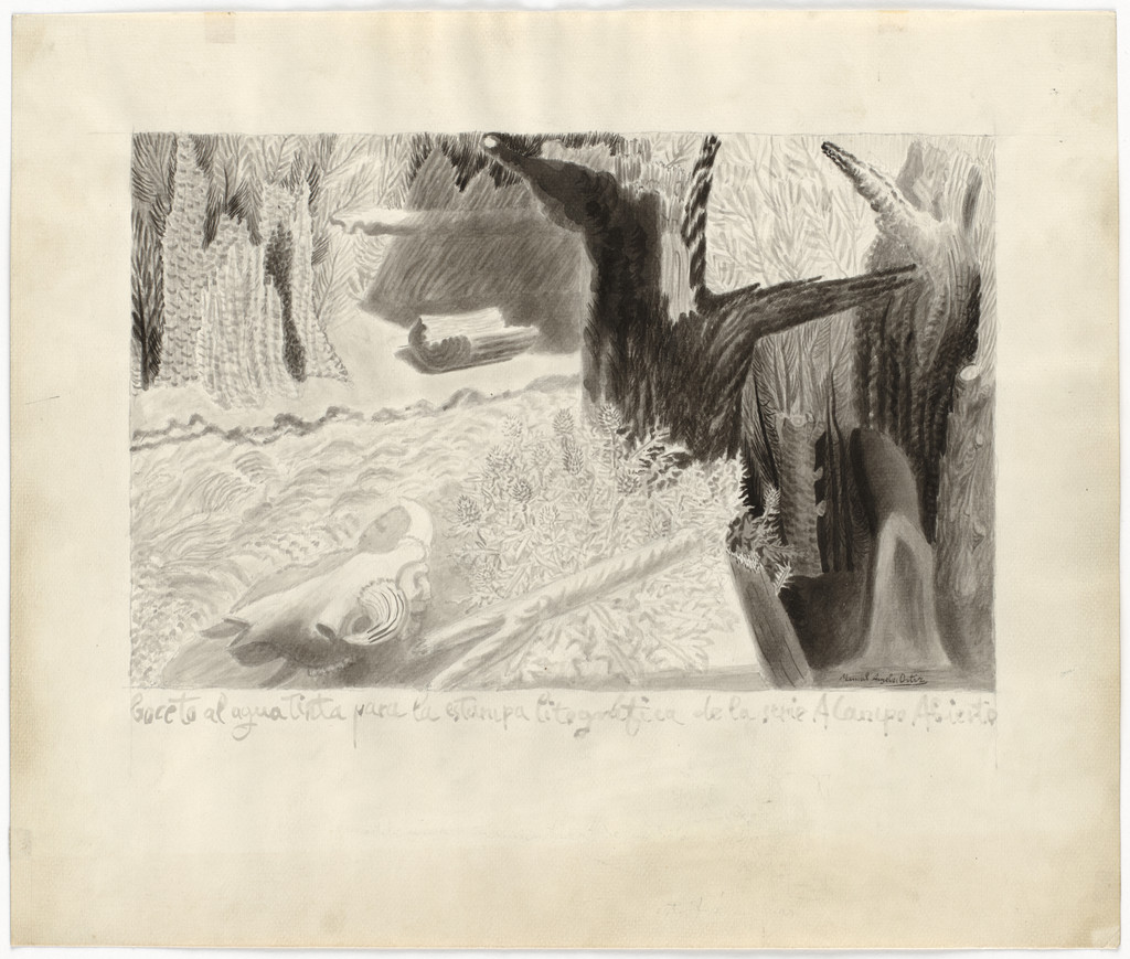 Sketch for lithograph In the Open Country