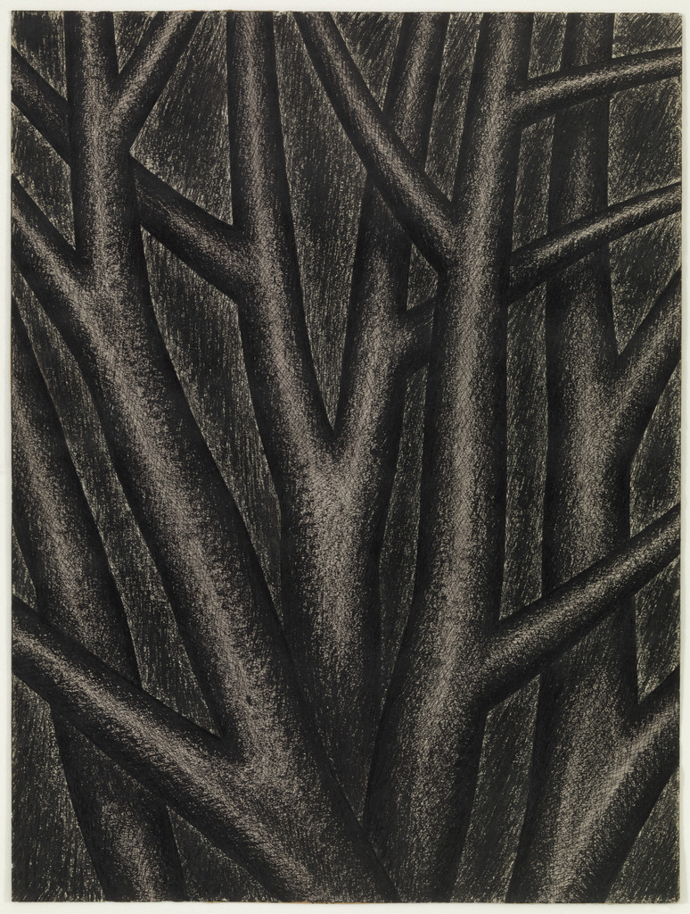 The Forest