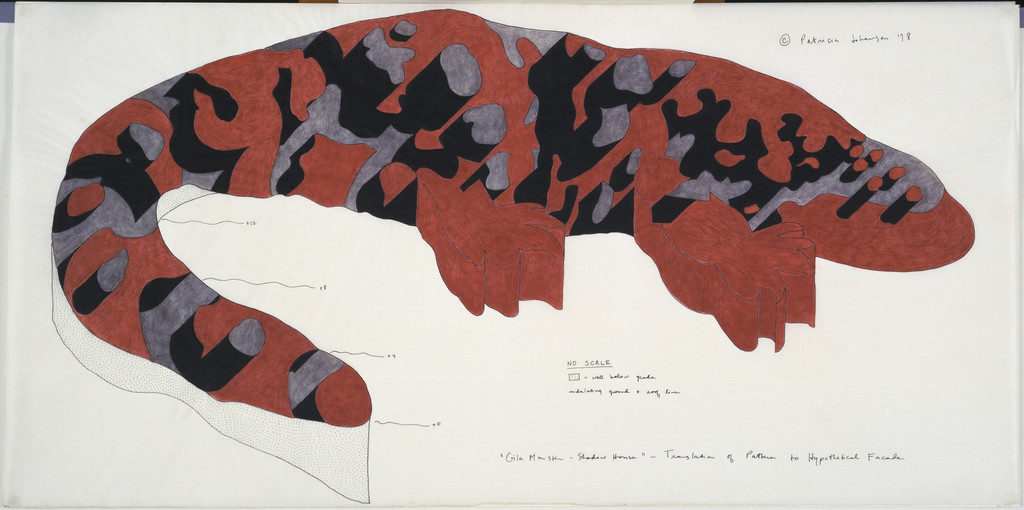 Gila Monster - Shadow House - Translation of Pattern to Hypothetical Facade