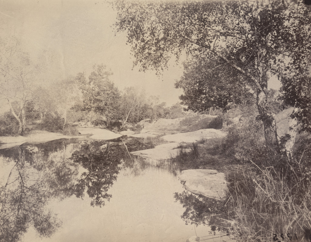Fontainebleau
