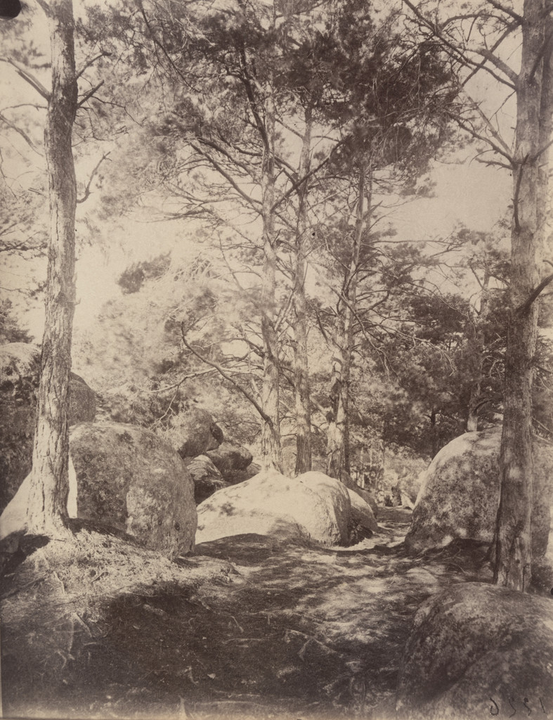 Fontainebleau -- Cavalière des Brigands