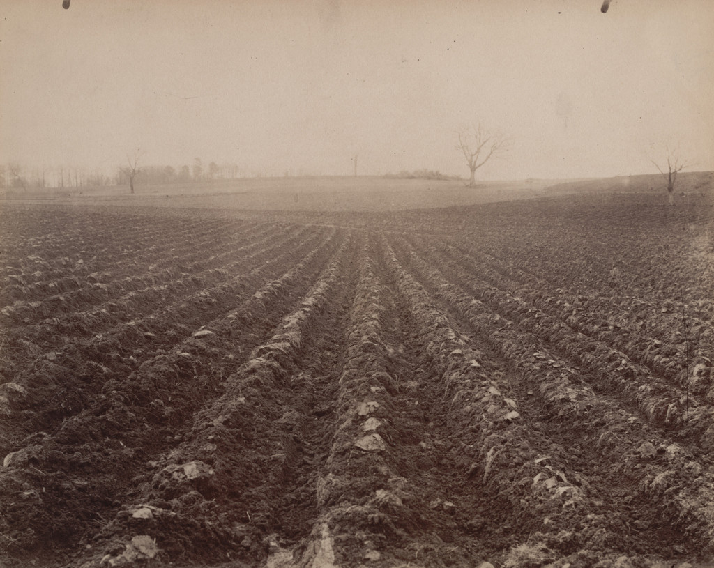 Terrain (Limoges)