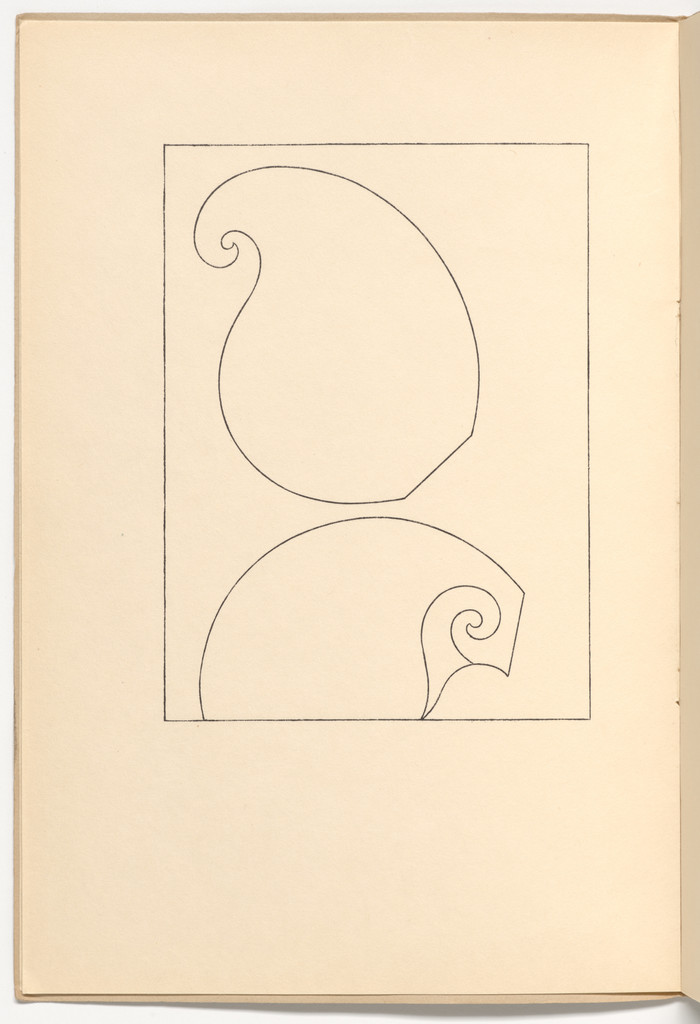 Plate (folio 2 verso) from Muscheln und schirme (Shells and Umbrellas)