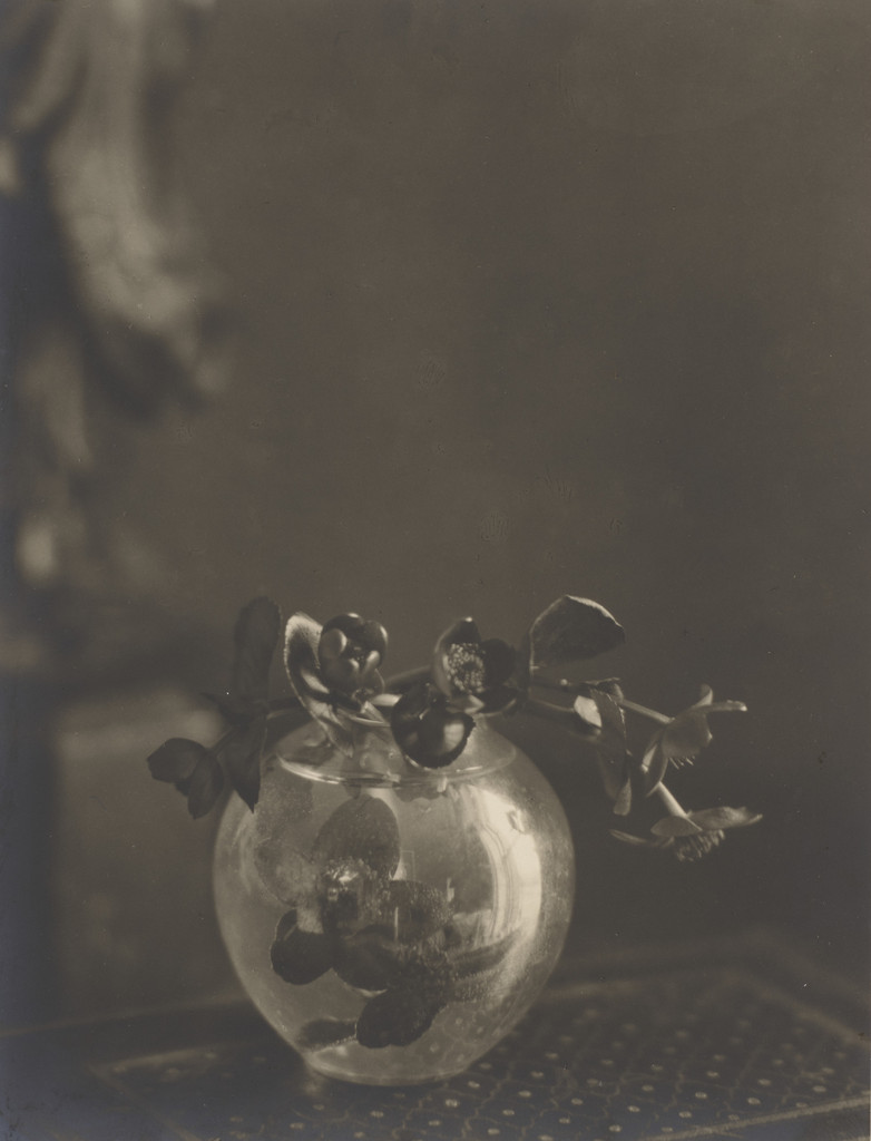 Marigold in Small Bohemian Vase