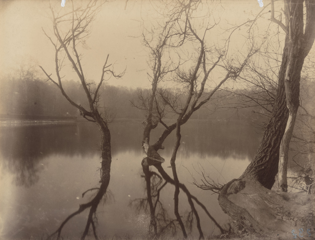 Étang de Corot