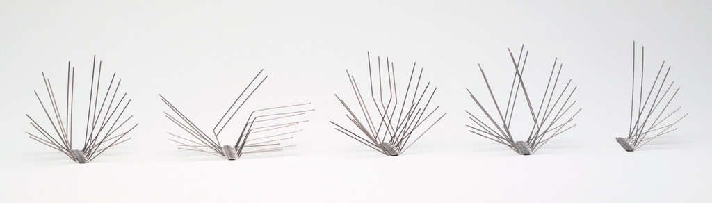 Bird Control Strips