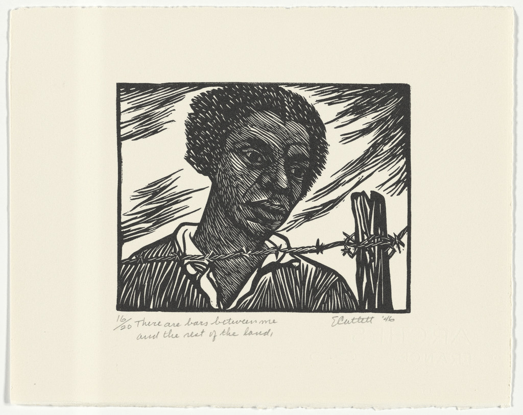 There Are Bars Between Me and the Rest of the Land from the series The Black Woman