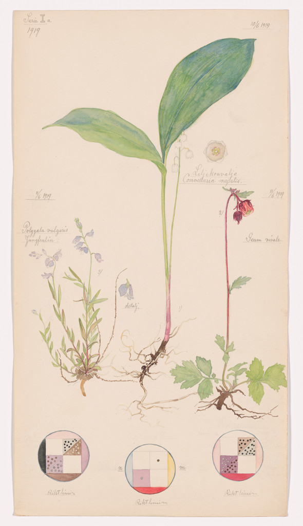 Convallaria majalis (Lily of the Valley), Geum rivale (Water Avens), Polygala vulgaris (Common Milkwort). Sheet 11 from the portfolio Nature Studies