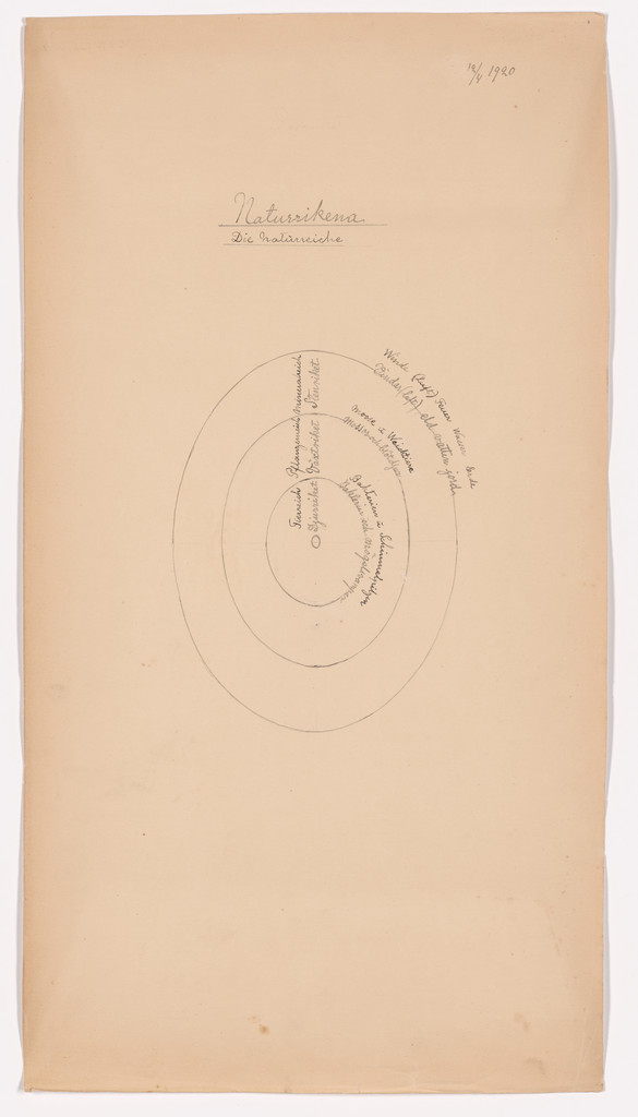 Naturrikena (The Natural Kingdoms). Sheet 29 from the portfolio Nature Studies