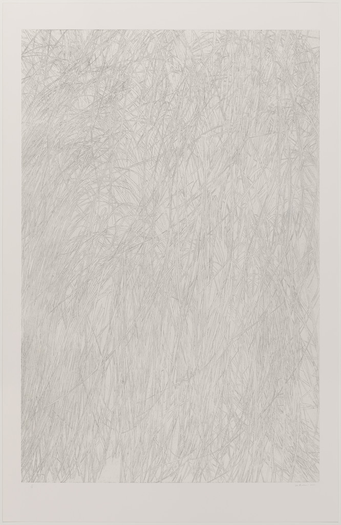Untitled (grass)